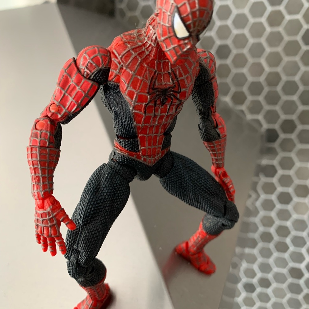 Rare Find! Toy Biz Spider-Man